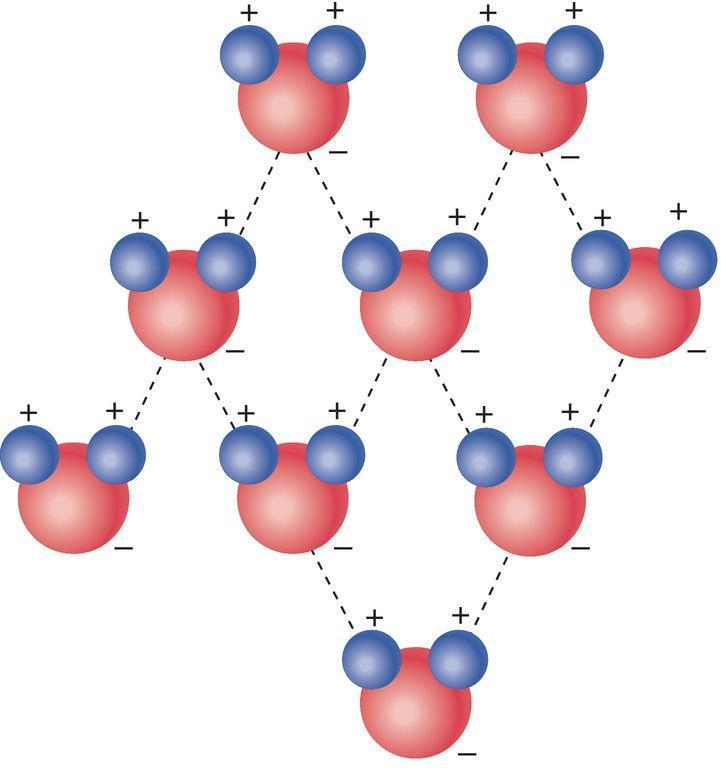 capacity Polar Forms hydrogen bond between 2