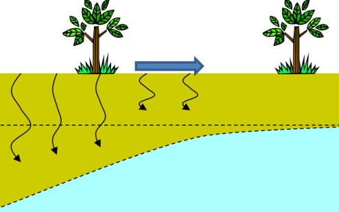 groundwater models