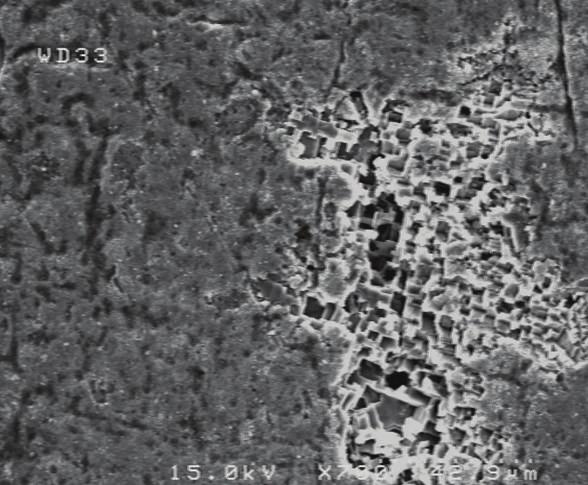 4 Metallurgy (a) SEM micrograph of sample 1 (b) SEM micrograph of sample 3 Figure 4: SEM micrographs of carburized Al 11. (a) (b) Figure 5: (a) SEM micrograph of cross-section of sample 2.