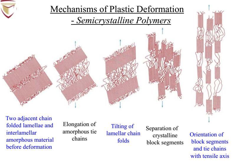 Mechanisms of Elastic