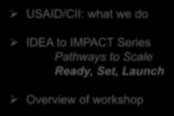 USAID/CII: what we do IDEA to IMPACT Series