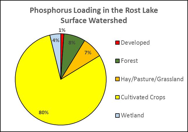 Watershed Phosphorus Modeling Estimates of phosphorus from the landscape can help to understand the phosphorus sources to Rost Lake.
