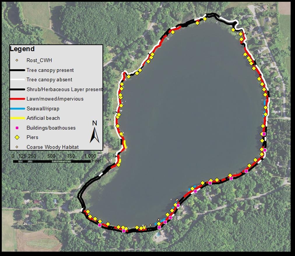 Shorelands Rost Lake s Shorelands To better understand the health of Rost Lake, shorelands
