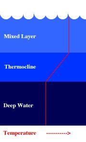 THERMAL STRATIFICATION MIXING IN THE FALL AND SPRING WHEN TEMPERATURES CHANGE FOR SURFACE WATER, ITS