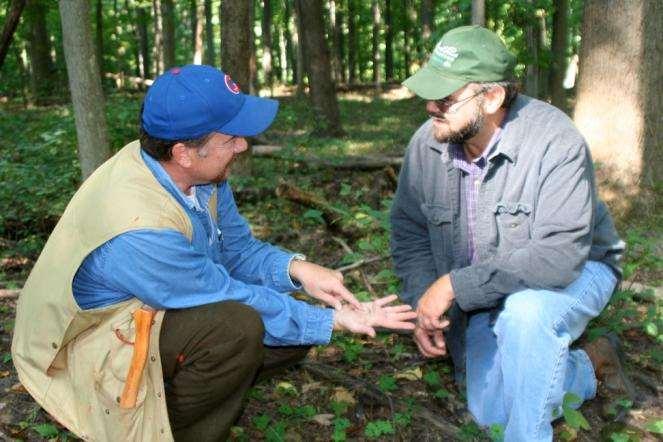 How Do I Begin? Use a professional forester www.findindianaforester.