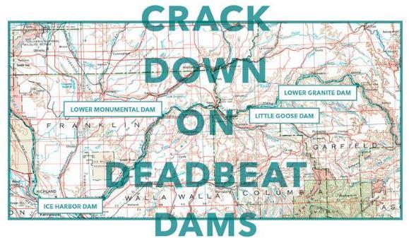 Snake River dams The Claims Patagonia and others targeting Snake River dams Ads and documentary lump Snake River projects with