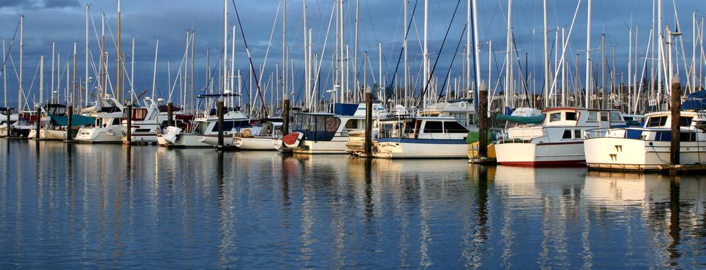 Goals & Actio 4 Effectively Manage Marina Operations and Maintenance Strategic Assessment The Port owns and operates the largest public recreational boat marina complex on the West Coast.