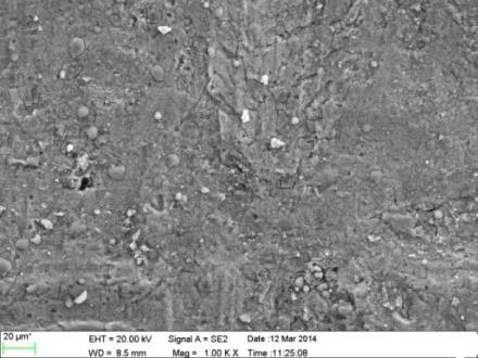 The sample B shows considerable corrosion resistance. The SEM images of five hour specimen of sample B are shown in the figure below.