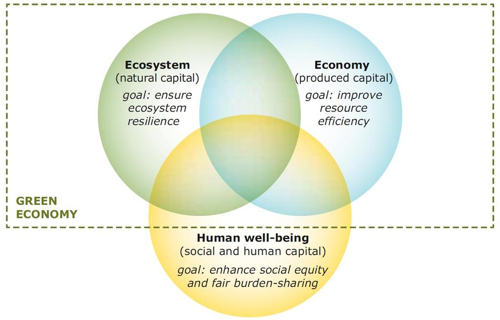 SOER 2010: influence on the 7 th EAP of the EU SOER 2010 s emphasis on natural capital, resource efficiency and human wellbeing was subsequently taken up in the 7 th EAP s priority