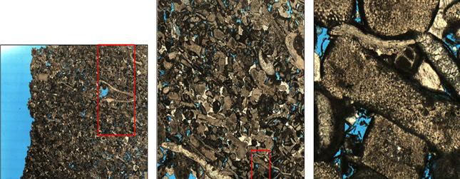 Nature of Perforation Damage Carbonate Thin section