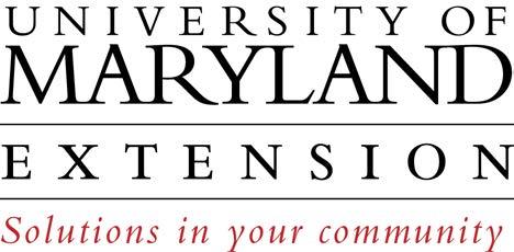 Engineer University Of Maryland