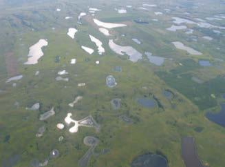 Wetlands in Prairie Pothole Region Large area in the