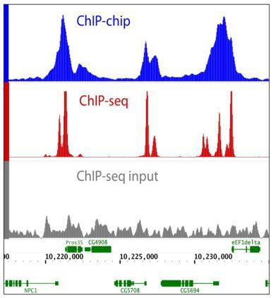 Higher resolution with ChIP-seq