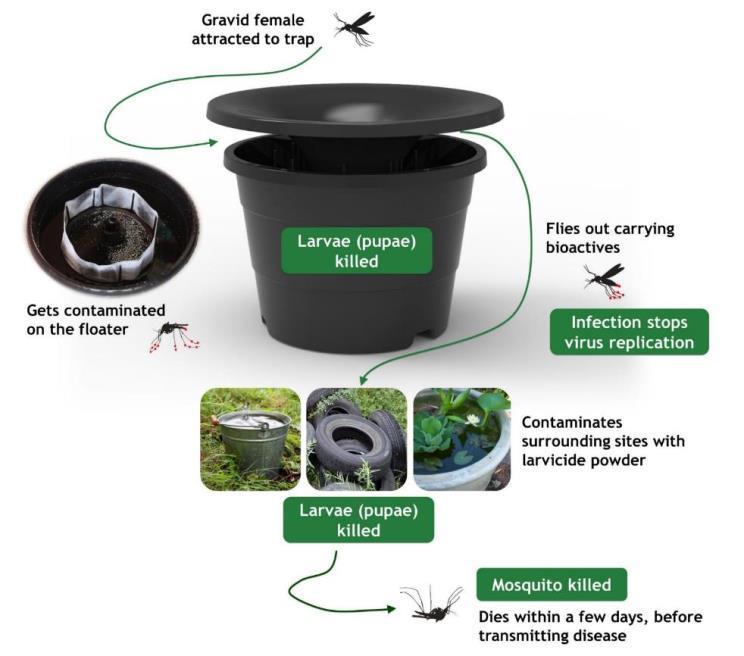 Protocol for a small-scale In2Care Mosquito Trap field test by Pest Management Professionals Product information The In2Care Mosquito Trap is an EPA-registered outdoor contamination station against