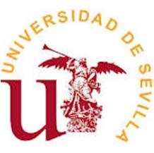 University of