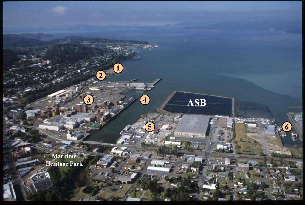 Bellingham s Brownfield Syndrome Six MTCA Sites: Pulp & Tissue Mill, Landfills, Waterways, Wood