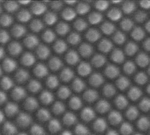 : 50 nm, Pitch: 100 nm ) [UV-nanoimprinting with metallic stamp] [ UV-nanoimprinting