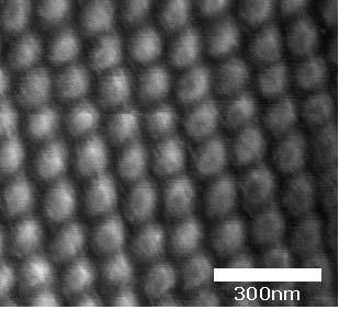 Distance (nm) [ Comparison of surface profiles between polymeric master and nanoinjection molded nanopillar pattern with and