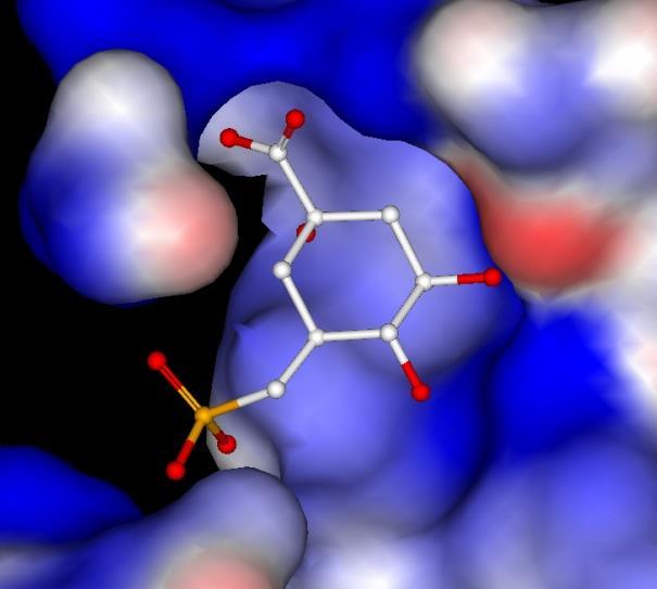 Structure-based drug design