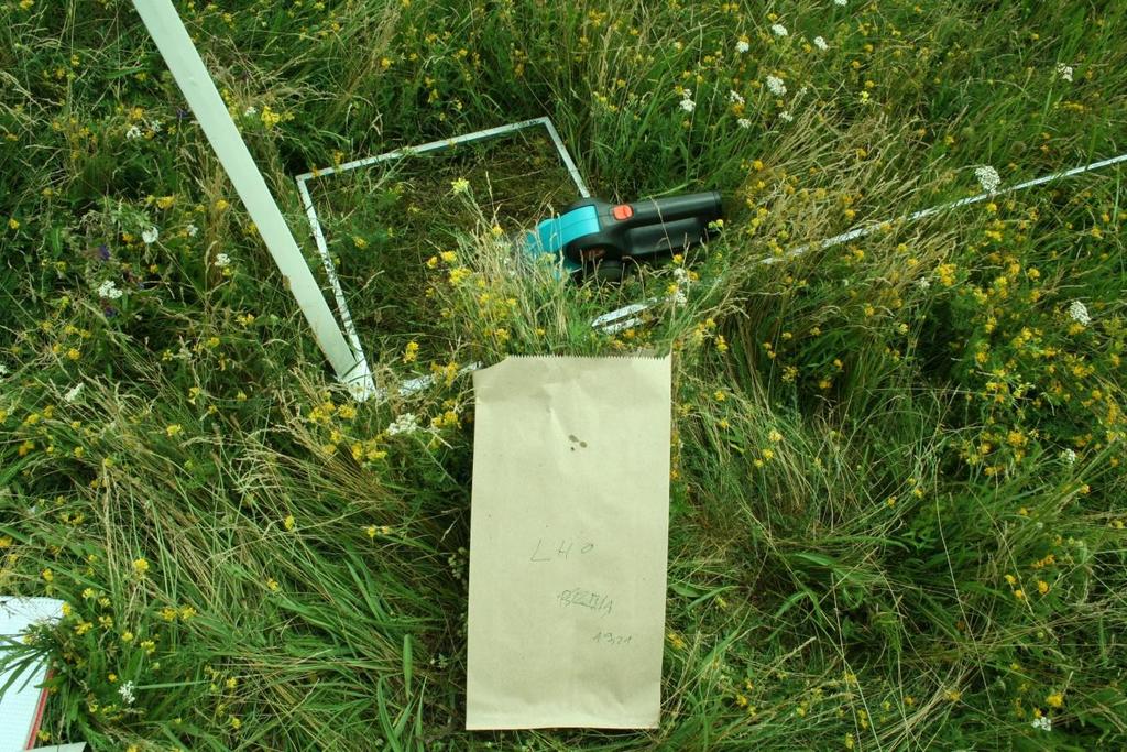 Biomass sampling Above ground biomass cutting From 1 ha at least 5 sample in a 0.5*0.