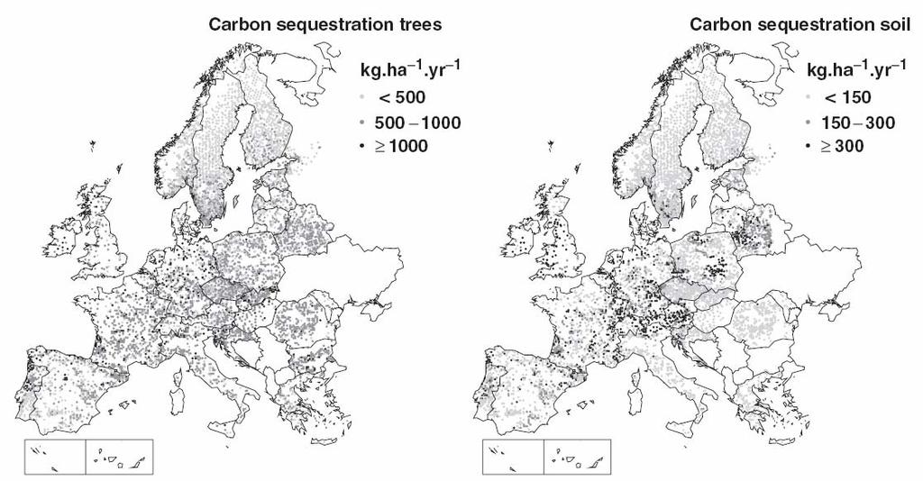 N and CO 2 sequestration Empirical assessment C sequestration calculated from N immobilisation and soil C/N ratio