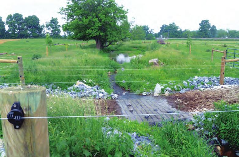 Streambank Protection and Stream Crossings Better water quality results from reducing the amount of nutrients, chemicals, animal waste, and sediments entering the stream.