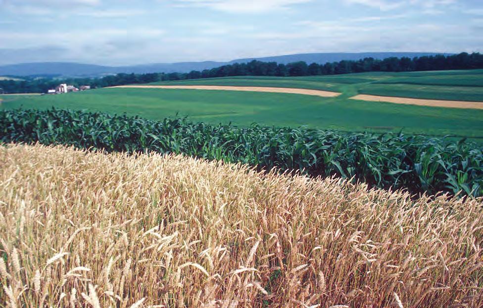 Introduction Pennsylvania is a land of great natural resources and Pennsylvania s farmers have always worked as stewards of the land to improve and protect those resources.