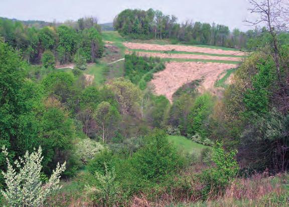 Integrating Wetlands, Wildlife, Forest Resources, and Easements into the Farm Operation Wildlife Habitat (Upland and Wetland) Wildlife habitat management involves creating, maintaining, or improving