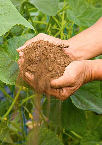 Soil Quality/Health Agricultural soil health is the ability of the soil to function and support plant life while maintaining and/or enhancing water and air quality.