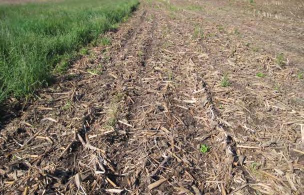 Crop Residue Management Crop residue management is the planned use of crop residue to protect the soil surface. Crop residue management is one of the most cost effective conservation practices.