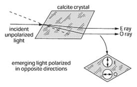 anisotropic crystal (calcite) most stable polymorph of calcium