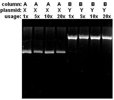 Quality testing 1.) DNA purity Fig. 1 A + B Demonstration that MAXXBOND -regenerated columns do not contain residual DNA molecules from the former isolation.