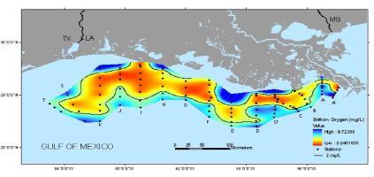 Northern Gulf of Mexico Ecosystems and Hypoxia Assessment Program (NGOMEX) NGOMEX Objectives: Monitoring: characterize the magnitude and extent of the hypoxic zone; From Nancy Rabalais (LUMCON)