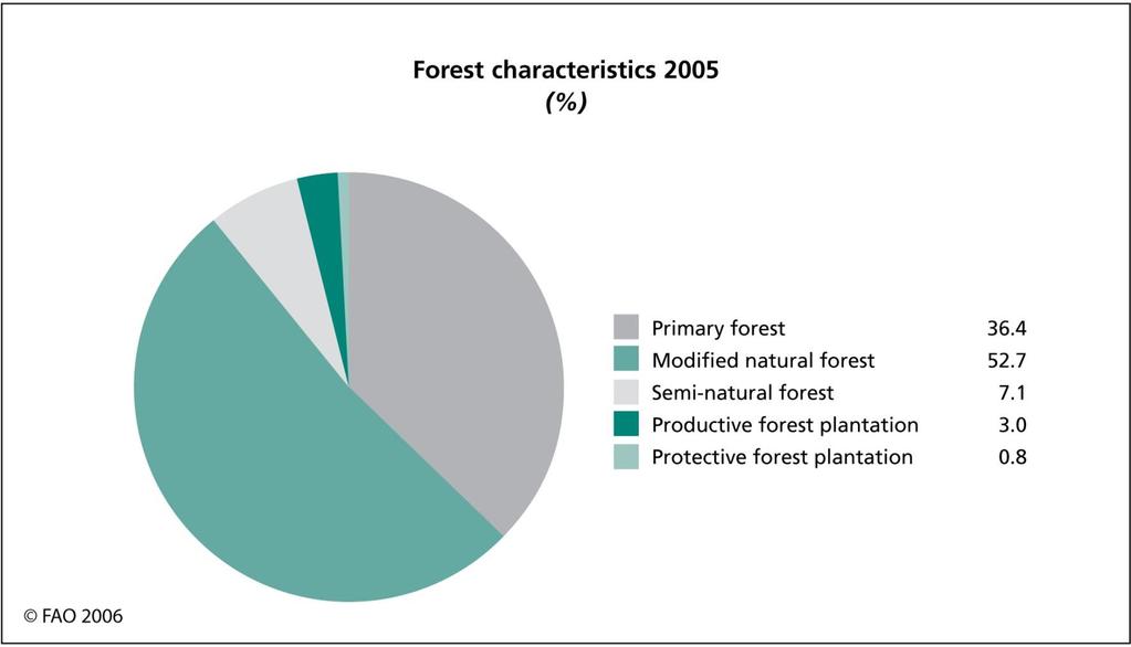 World Forest and Plantation