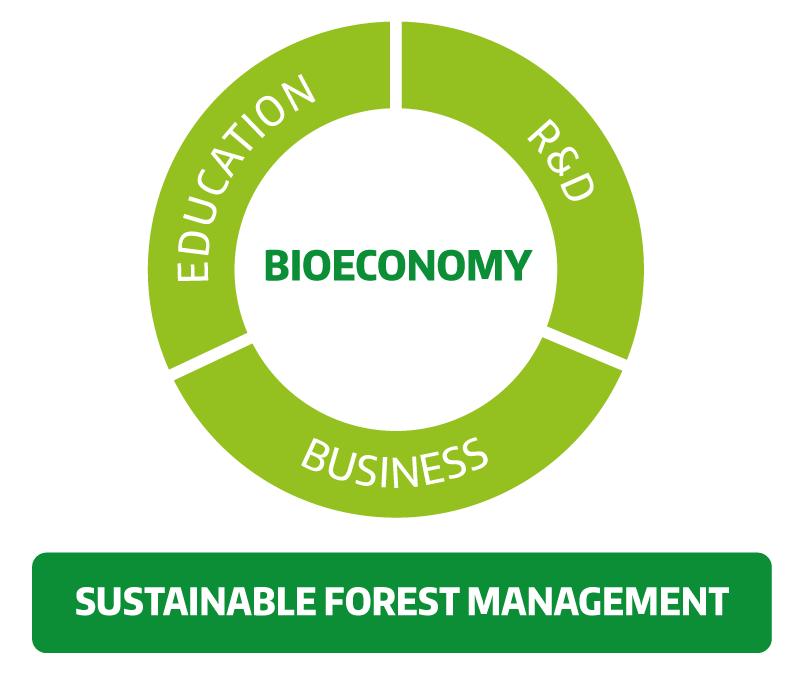 Our circular forest bioeconomy cluster Forest technology Industrial symbioses Distributed biorefining Wood construction