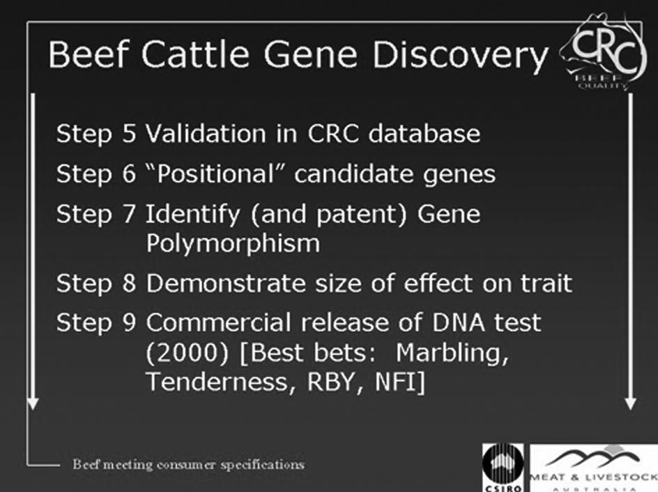 New Opportunities in the new CRC for Beef Genetic Technologies The new Beef CRC to commence on 1 July 2005 for a 7 year term will focus on gene discovery and expression.