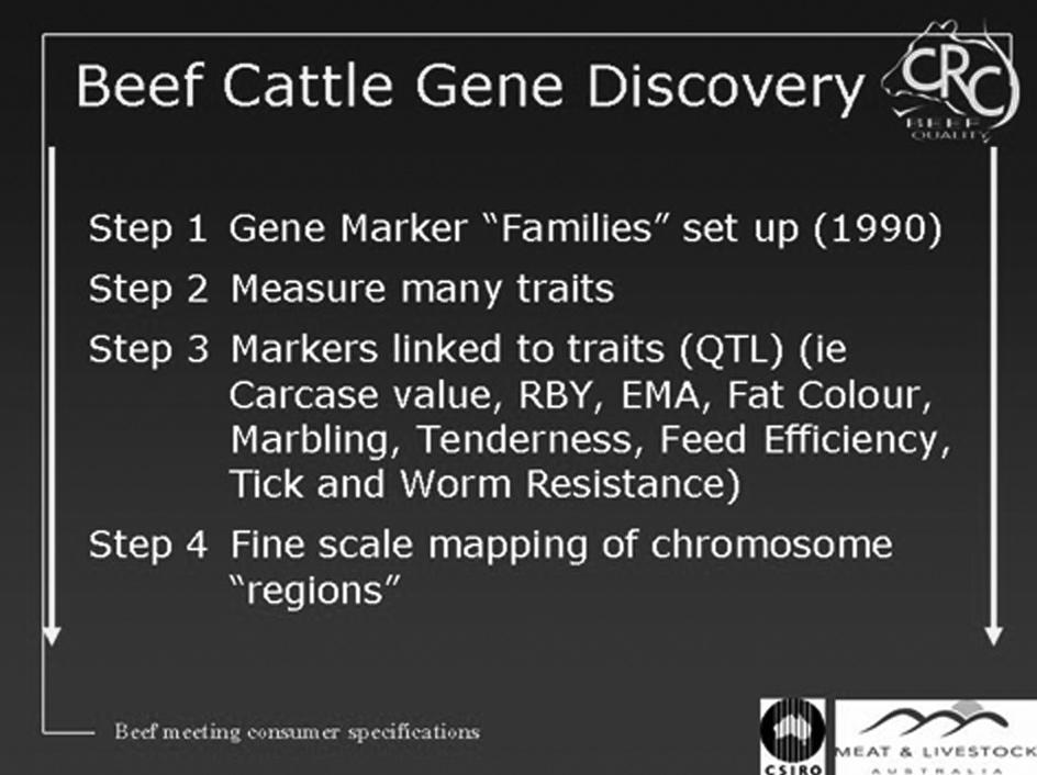 (d) CRCII Brahman and Composite cattle with some 2,400 steers measured for grain-fed beef quality and NFI and 2,400 heifer half-sibs measured for age at puberty and subsequent fertility.