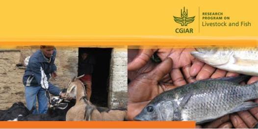 CGIAR research program on Livestock and Fish: more meat, milk and fish by and for the poor 1st Phase: 2012-2016: focus on nine selected value chains, supported by IPG research on productivity drivers