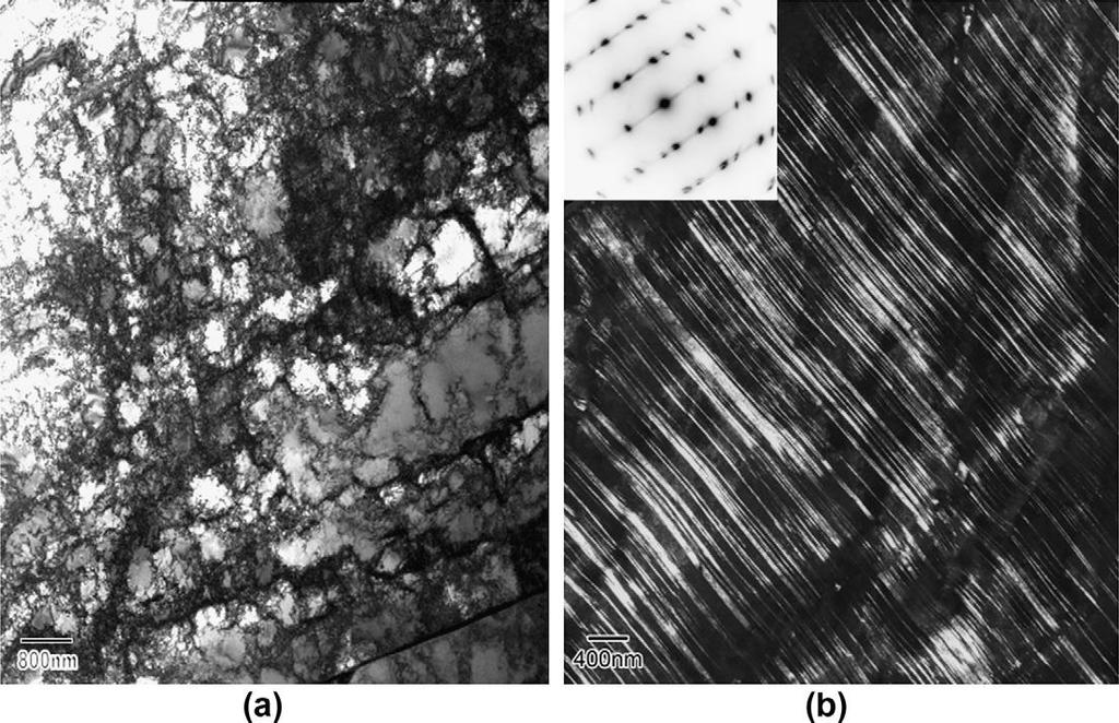 Microstructure (a) Bright-field image of Fe 30Mn deformed up to 20% in tension showing well-developed dislocation