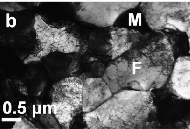 DUAL PHASE STEELS SEM micrograph showing fine grained ferrite and martensite after intercritical annealing at 760 C for 2 min.