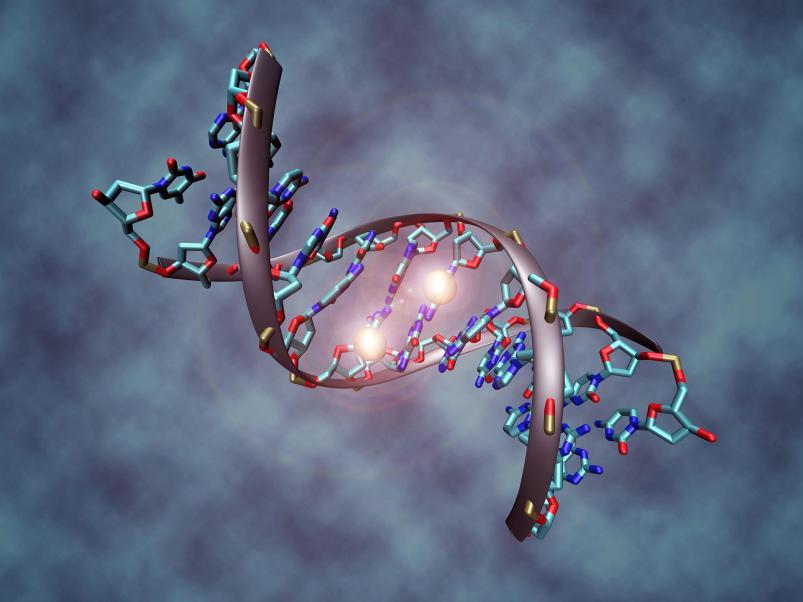 Epigenetics Modifications to DNA can modulate gene expression These modifications can relate to lifestyle and/or environment These DNA modifications can play a role in a range of diseases from Cancer