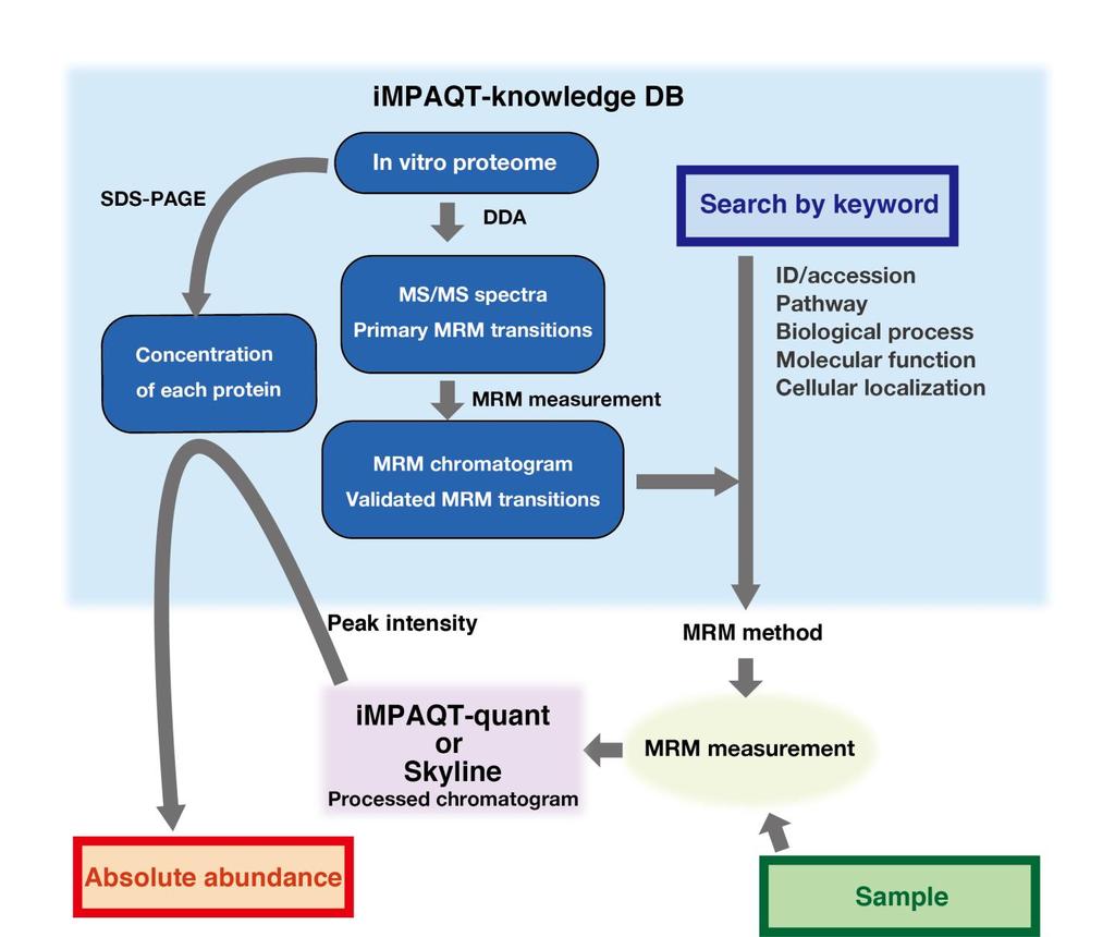 Supplementary Figure 6 impaqt platform. The impaqt platform includes impaqt-knowledge DB and impaqt-quant software.