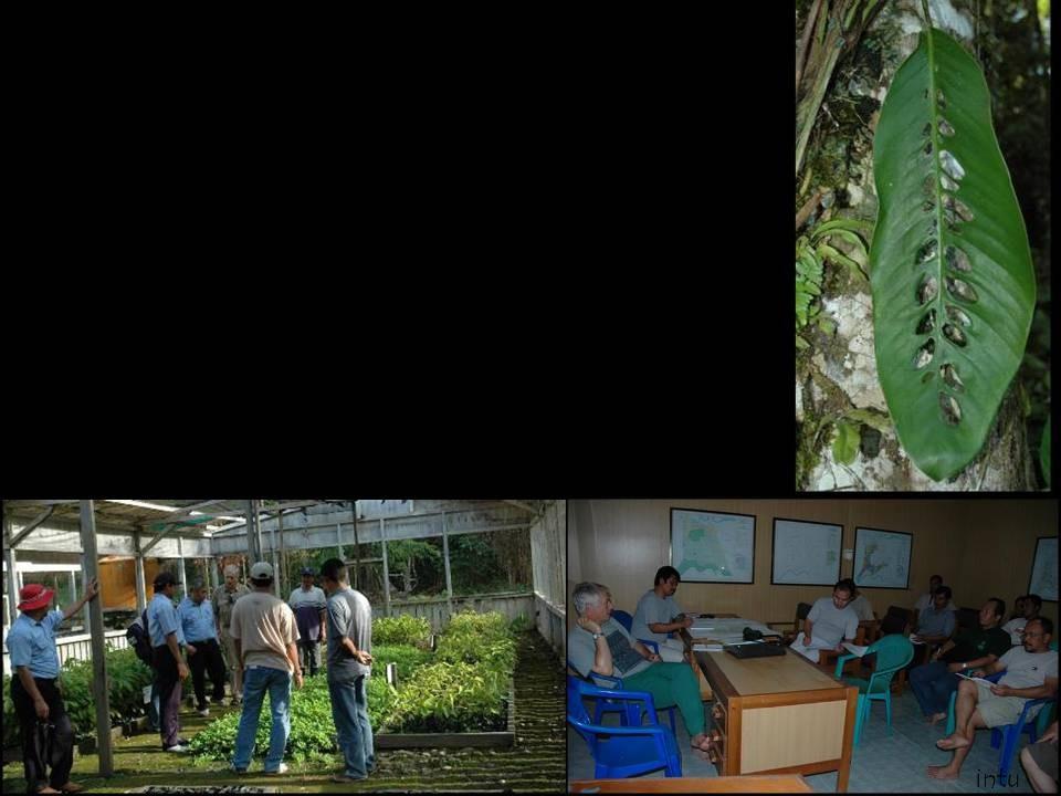 WWF, CIFOR and TNC - 3 industrial