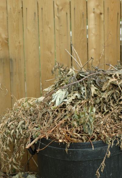 Yard Waste Banned from trash Includes leaves/grass and tree waste Ramsey County has 7 yard waste