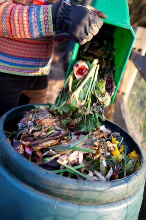 Organics options for residents Reduce food waste Home (Backyard) composting Drop-off compost at Ramsey County Yard Waste sites or other compost drop-off