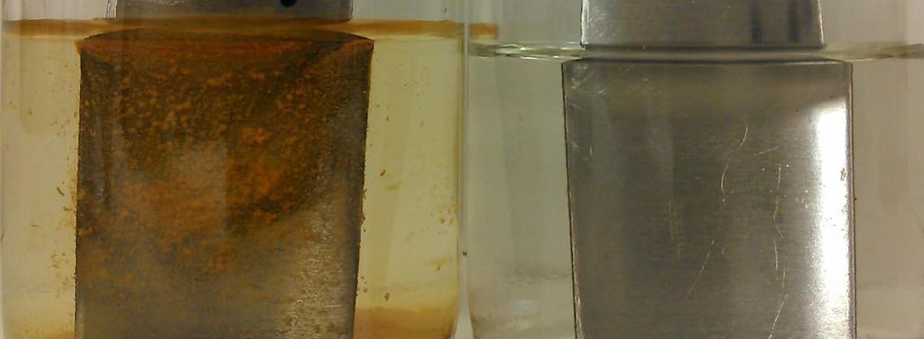 DeTERIC LP Corrosion Inhibition Properties Corrosion Testing in Standard Hard Water DeTERIC LP, Sodium