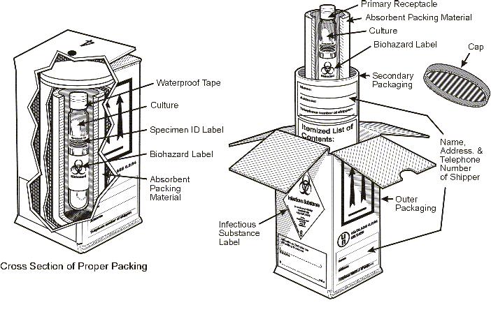 Figure 4 - Packaging and labeling of biological materials. The primary container holds the biological material; it must be leak-proof. It must be labeled with the name of the contents.