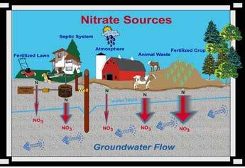 Organic systems have little to no risk of synthetic pesticide pollution of ground and surface waters