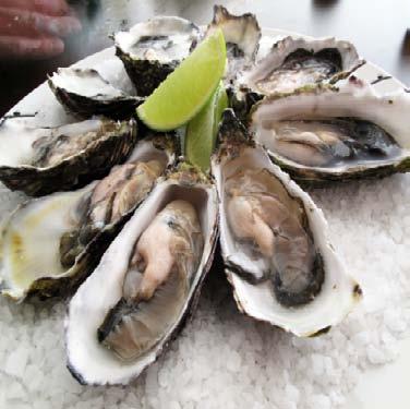 Shellfish Impairments: Listings to be Addressed