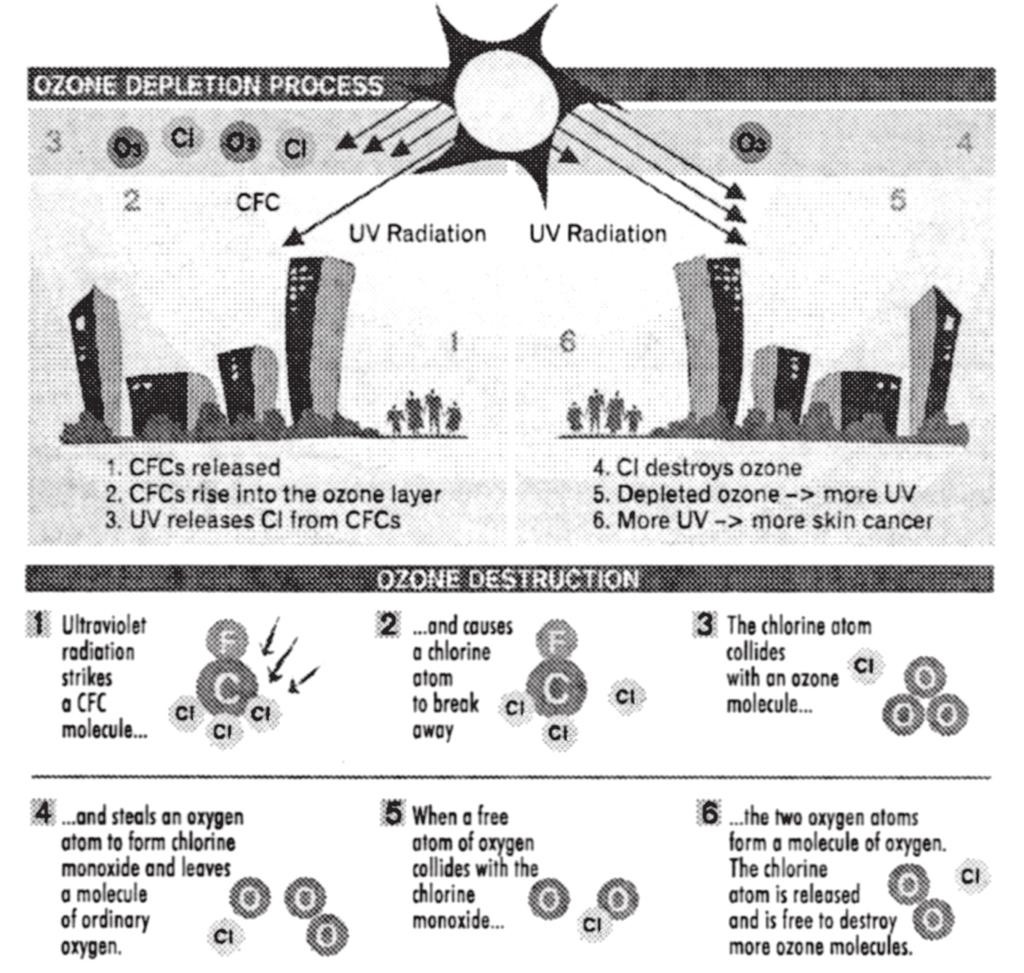 7 ODS HOW do Ozone-Depleting Substances (ODS) destroy ozone molecules?